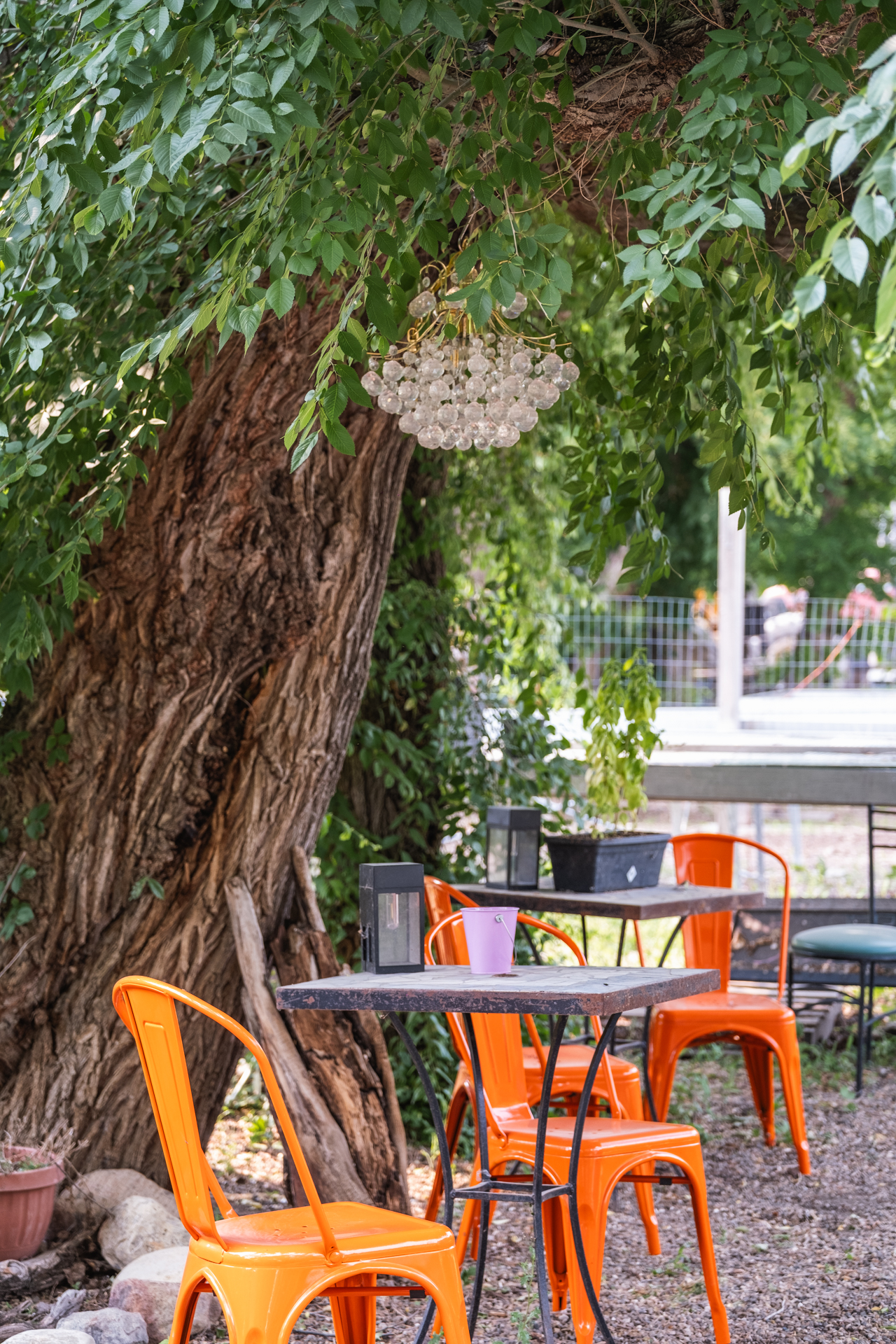 July 12 2023 - The Country-1