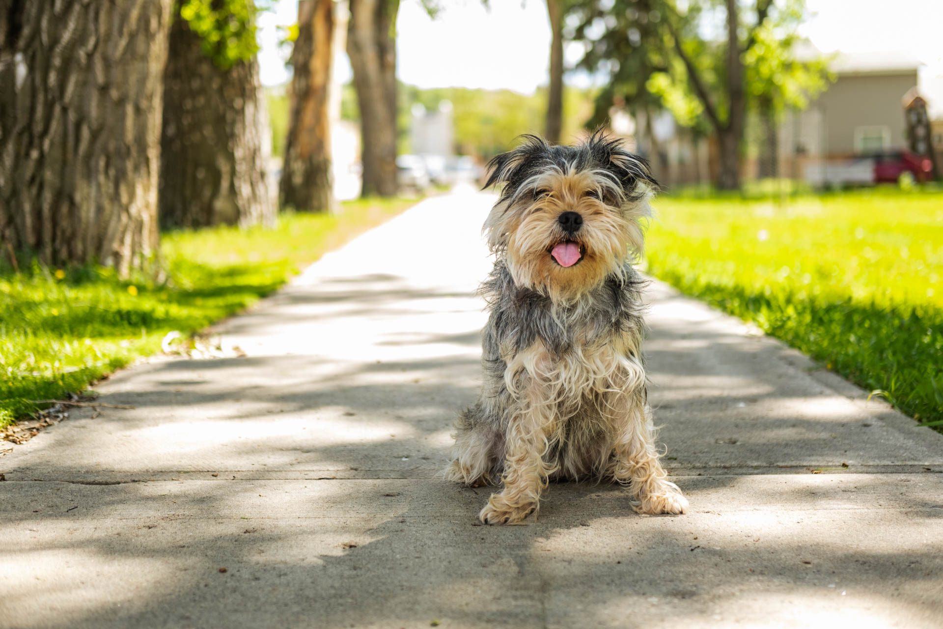 The Country - June 12 Photos (2 of 24)